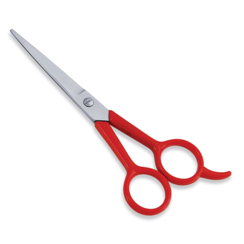 Economy Hair Scissors